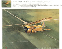 3-Grumman G22[ Gulf-Hawk]