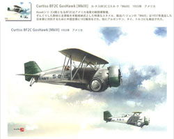 9-Curtiss BF2C GosHawk [MkIII]
